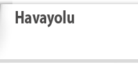 Havayolu